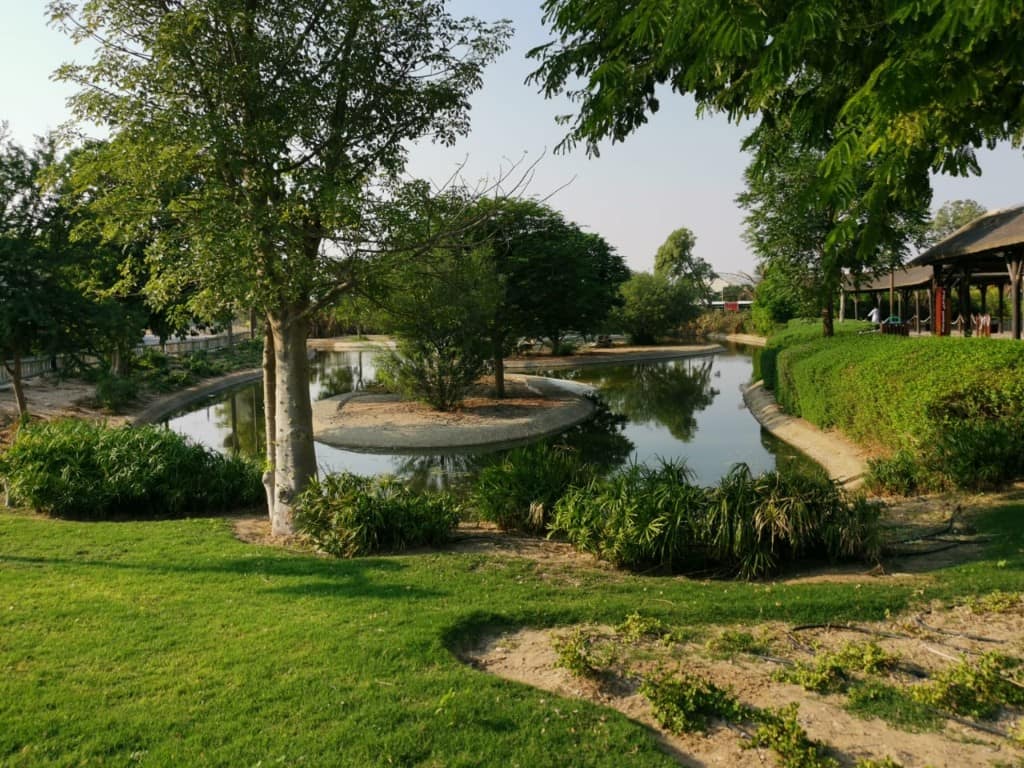 Naturalised Park & Lake Landscape — view 3